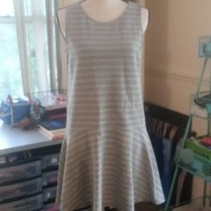 Loft Drop Waist Dress